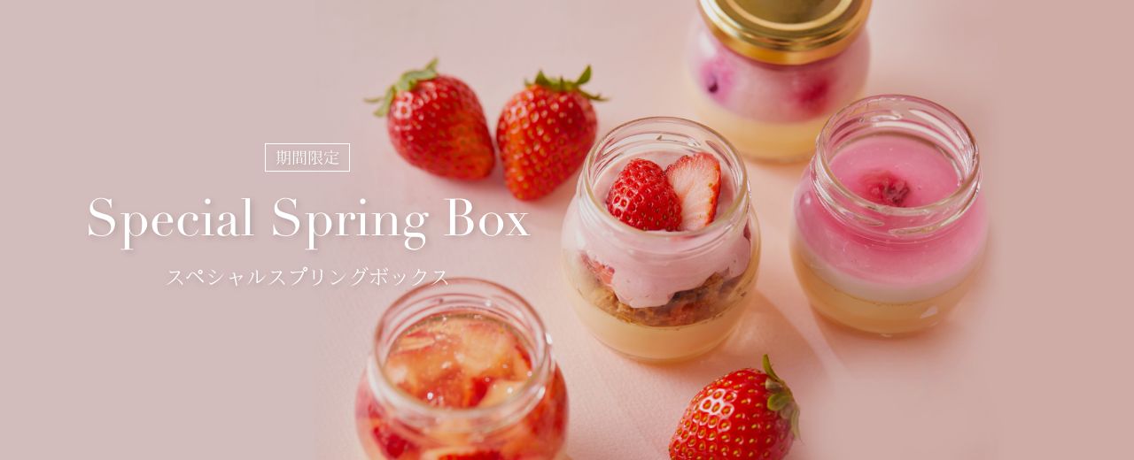vukeスペシャルスプリングボックス